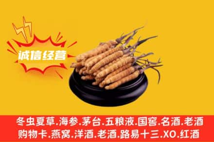 昌都市江达回收冬虫夏草